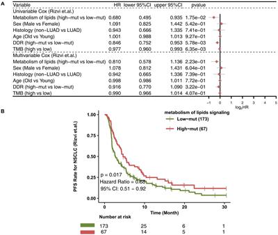 Prognosis of Non-small-cell Lung Cancer Patients With Lipid Metabolism Pathway Alternations to Immunotherapy